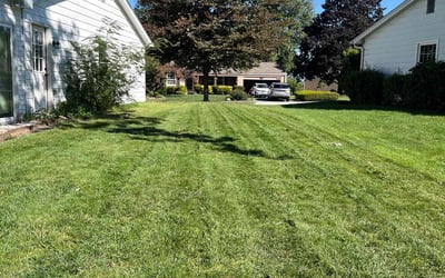 Photo of Sharon C.'s yard after getting lawn care in New Cumberland, PA