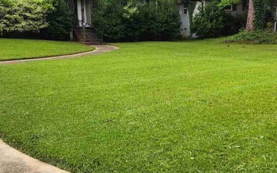 Photo of Yonika G.'s yard after getting lawn care in Forest Park, GA