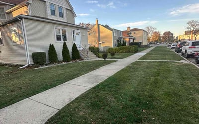 Photo of Heather L.'s yard after getting lawn care in Melrose Park, IL