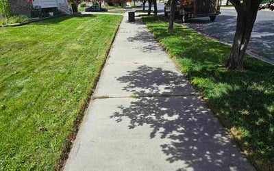 Photo of Katelyn S.'s yard after getting lawn care in Inverness, FL