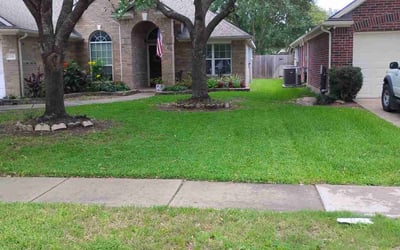 Photo of Dyllan C.'s yard after getting lawn care in Pflugerville, TX