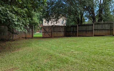 Photo of Dana C.'s yard after getting lawn care in Brookhaven, GA