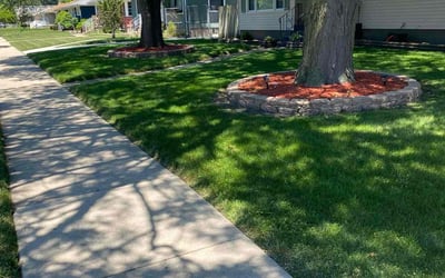 Photo of Steve V.'s yard after getting lawn care in Hammond, IN