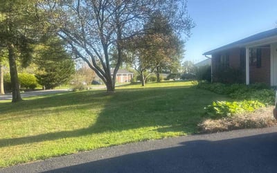 Photo of Joshua L.'s yard after getting lawn care in Eldersburg, MD