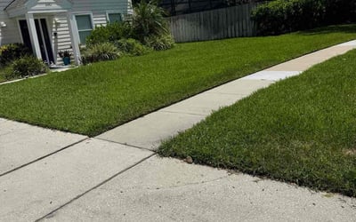 Photo of Kelvin F.'s yard after getting lawn care in Orlando, FL