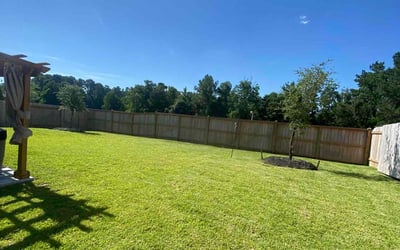 Photo of Andrea F.'s yard after getting lawn care in Cary, NC