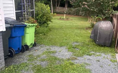 Photo of David W.'s yard after getting lawn care in Middle River, MD