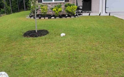 Photo of Leslie L.'s yard after getting lawn care in Lincolnton, NC