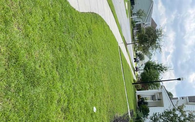 Photo of Brad H.'s yard after getting lawn care in Aiken, SC