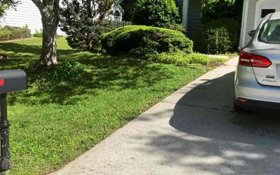 Photo of Larry F.'s yard after getting lawn care in Portland, ME