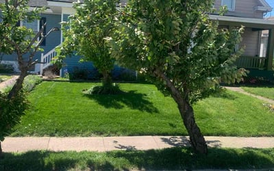 Photo of Robert M.'s yard after getting lawn care in Republic, MO