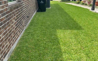 Photo of Ed B.'s yard after getting lawn care in Lynn, MA