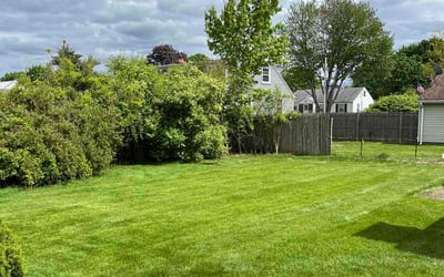 Photo of Olivia B.'s yard after getting lawn care in Tolland, CT