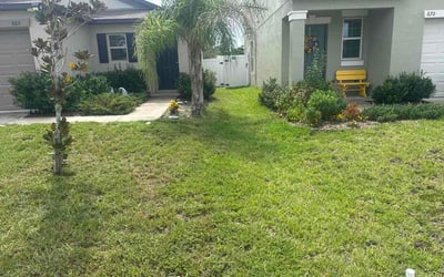 Photo of Pa X.'s yard after getting lawn care in Owasso, OK