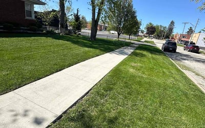 Photo of Christina B.'s yard after getting lawn care in Tampa, FL