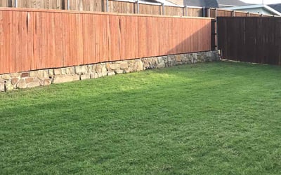 Photo of Lauren P.'s yard after getting lawn care in Wylie, TX