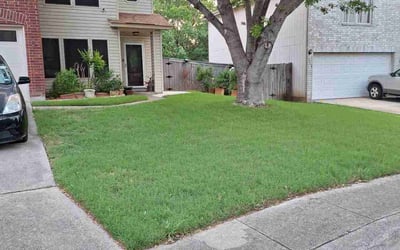 Photo of Wolfgang S.'s yard after getting lawn care in San Antonio, TX
