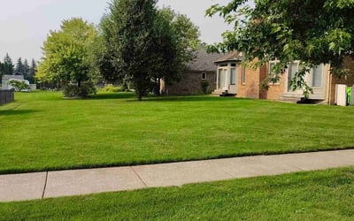 Photo of Andres S.'s yard after getting lawn care in Orlando, FL