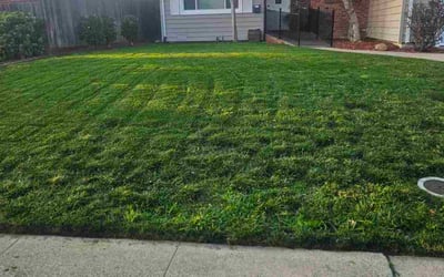 Photo of Geoff R.'s yard after getting lawn care in Long Beach, CA