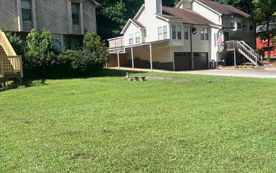 Photo of Chris G.'s yard after getting lawn care in Phoenix, AZ