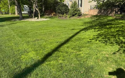 Photo of Chalida J.'s yard after getting lawn care in Saint Augustine, FL