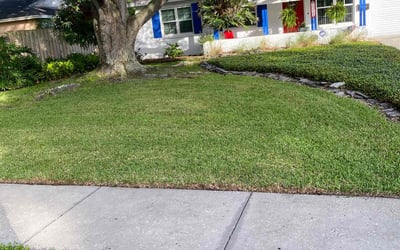 Photo of Glenn J.'s yard after getting lawn care in Pinellas Park, FL