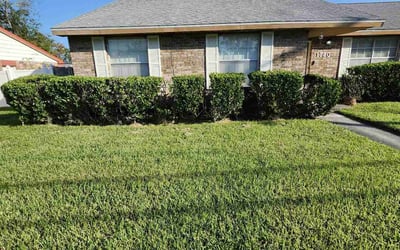 Photo of Lydia S.'s yard after getting lawn care in Highland, IN