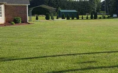 Photo of Paige K.'s yard after getting lawn care in Inman, SC