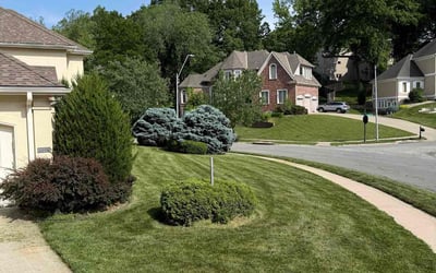Photo of Carole E.'s yard after getting lawn care in Gladstone, MO
