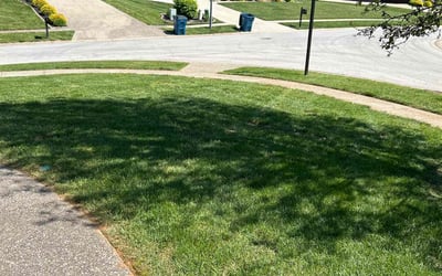 Photo of Cody H.'s yard after getting lawn care in Shepherdsville, KY