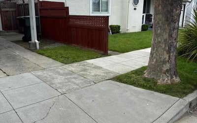 Photo of Lydia C.'s yard after getting lawn care in San Bruno, CA