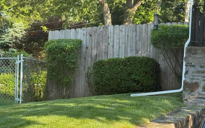 Photo of Russell C.'s yard after getting lawn care in Clifton Heights, PA