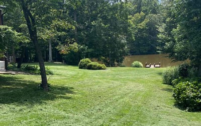 Photo of Georgios M.'s yard after getting lawn care in Grosse Pointe, MI