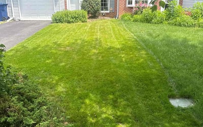 Photo of Blayne K.'s yard after getting lawn care in Whitehall, PA
