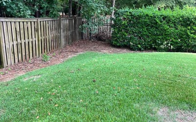 Photo of Mahmoud A.'s yard after getting lawn care in Evans, GA