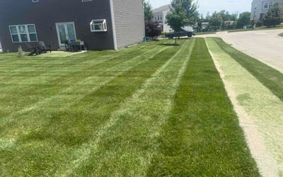 Photo of James M.'s yard after getting lawn care in Roseville, MI