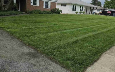 Photo of Jemimah L.'s yard after getting lawn care in East Brunswick, NJ