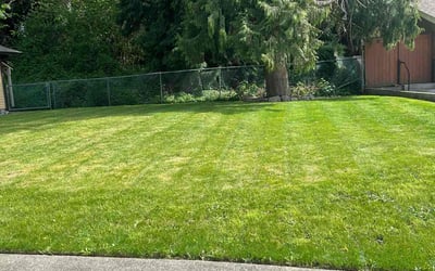 Photo of Reva B.'s yard after getting lawn care in Chicago, IL
