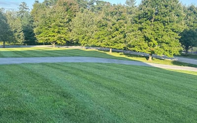 Photo of Alyssa E.'s yard after getting lawn care in Lutherville Timonium, MD