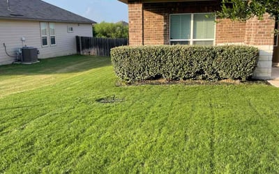 Photo of Louis B.'s yard after getting lawn care in Herndon, VA