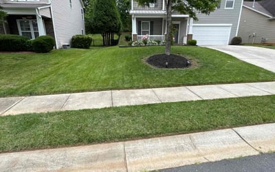 Photo of Connery S.'s yard after getting lawn care in Charlotte, NC