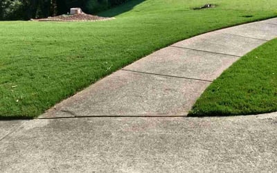 Photo of Karen P.'s yard after getting lawn care in Monroe, WA