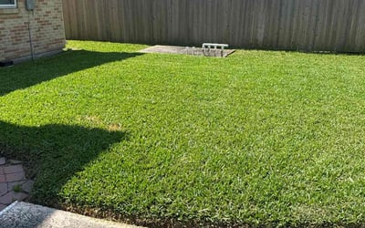 Photo of Oscar M.'s yard after getting lawn care in Spring, TX