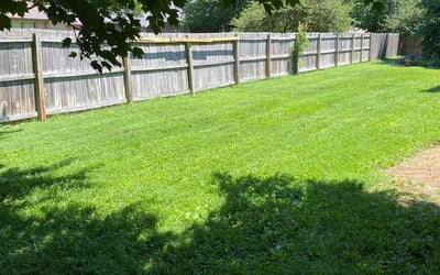 Photo of Georgia M.'s yard after getting lawn care in Springfield, MO