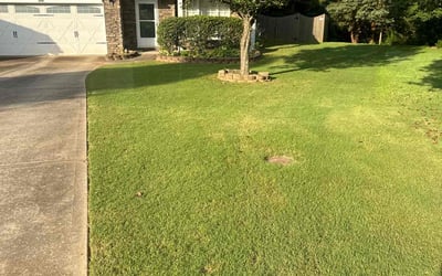 Photo of Amanda A.'s yard after getting lawn care in Five Forks, SC