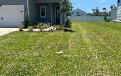 Photo of Prity S.'s yard after getting lawn care in Broomfield, CO