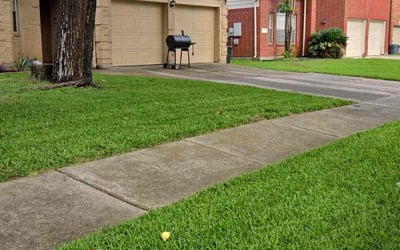 Photo of Michael C.'s yard after getting lawn care in Spring, TX