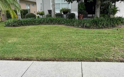 Photo of Matthew T.'s yard after getting lawn care in Land O' Lakes, FL