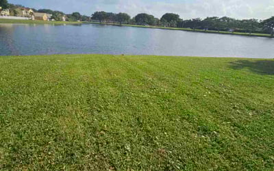 Photo of Miguel H.'s yard after getting lawn care in Eaton Rapids, MI