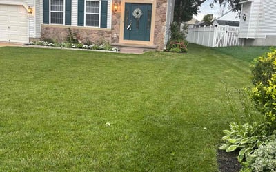 Photo of Jennifer H.'s yard after getting lawn care in Milford, MA
